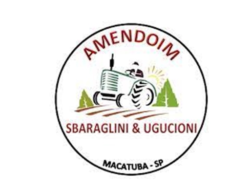 amendoim